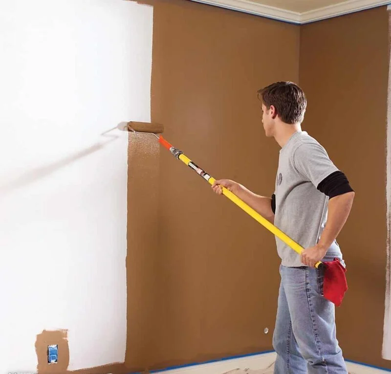 Manyas Boya Badanacı