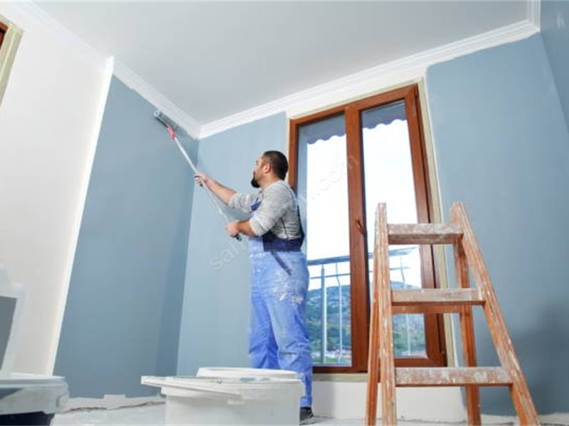 Manyas Boya Badanacı